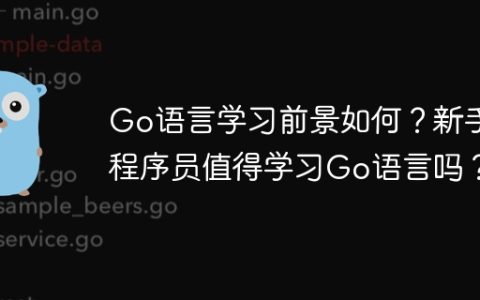 Go语言学习前景如何？新手程序员值得学习Go语言吗？