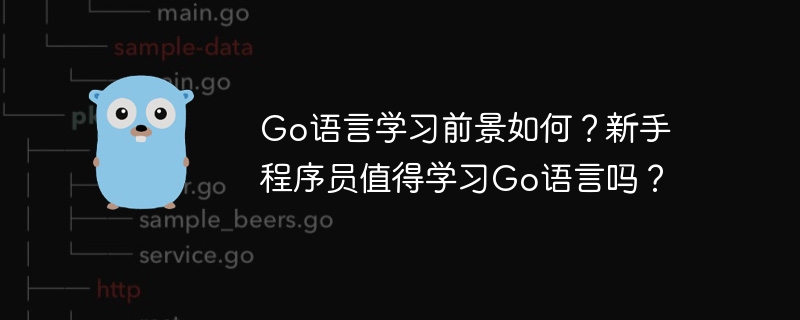 go语言学习前景如何?新手程序员值得学习go语言吗?