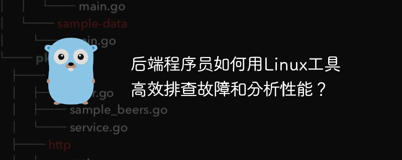 后端程序员如何用linux工具高效排查故障和分析性能?