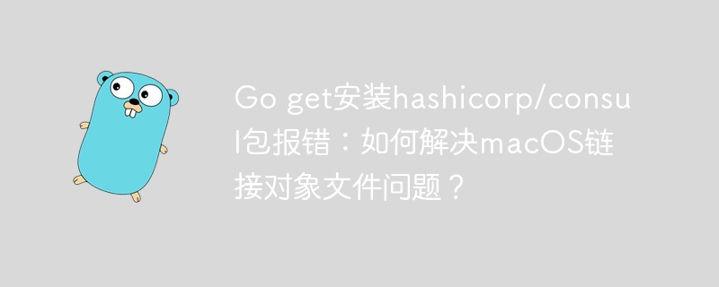 go get安装hashicorp/consul包报错:如何解决macos链接对象文件问题?