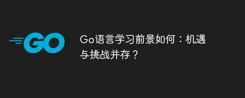 go语言学习前景如何:机遇与挑战并存?