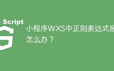小程序WXS中正则表达式报错怎么办？