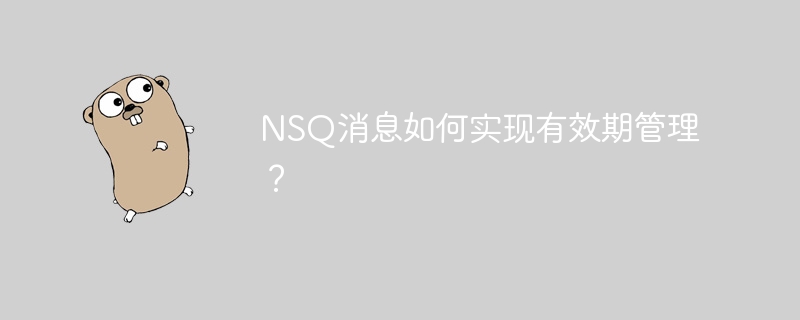 nsq消息如何实现有效期管理?