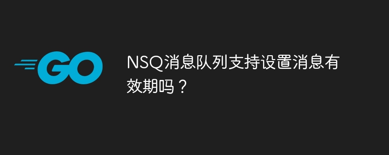 nsq消息队列支持设置消息有效期吗?