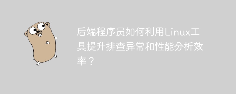 后端程序员如何利用linux工具提升排查异常和性能分析效率？
