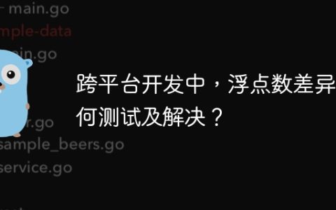 跨平台开发中，浮点数差异如何测试及解决？