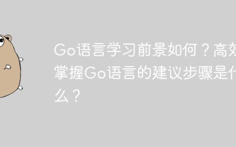 Go语言学习前景如何？高效掌握Go语言的建议步骤是什么？