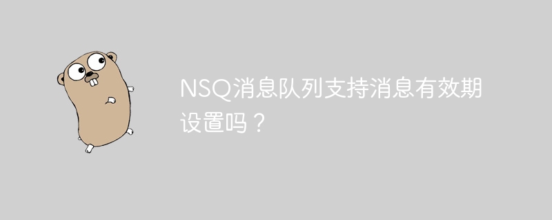 nsq消息队列支持消息有效期设置吗？