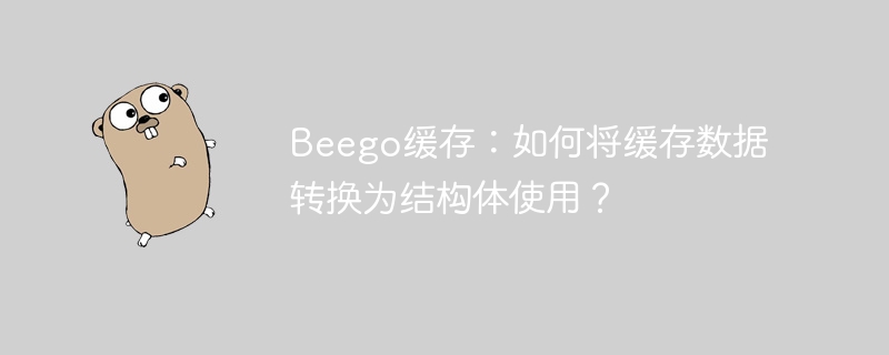 beego缓存:如何将缓存数据转换为结构体使用?
