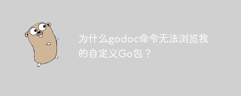 为什么godoc命令无法浏览我的自定义go包?