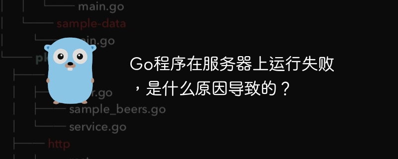 go程序在服务器上运行失败,是什么原因导致的?