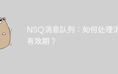 NSQ消息队列：如何处理消息有效期？