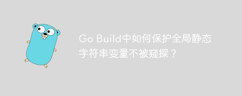 go build中如何保护全局静态字符串变量不被窥探?