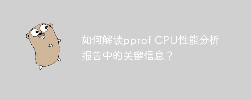 如何解读pprof CPU性能分析报告中的关键信息？