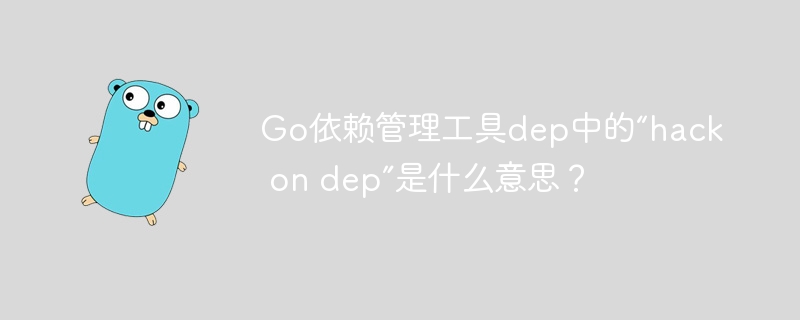 go依赖管理工具dep中的“hack on dep”是什么意思?