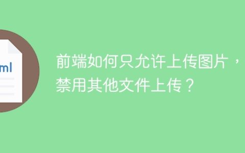 前端如何只允许上传图片，并禁用其他文件上传？