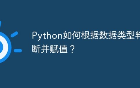 Python如何根据数据类型判断并赋值？