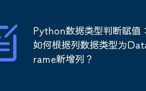Python数据类型判断赋值：如何根据列数据类型为DataFrame新增列？