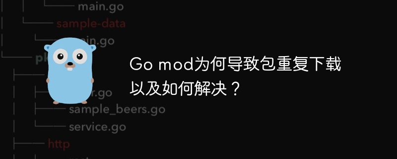 go mod为何导致包重复下载以及如何解决?
