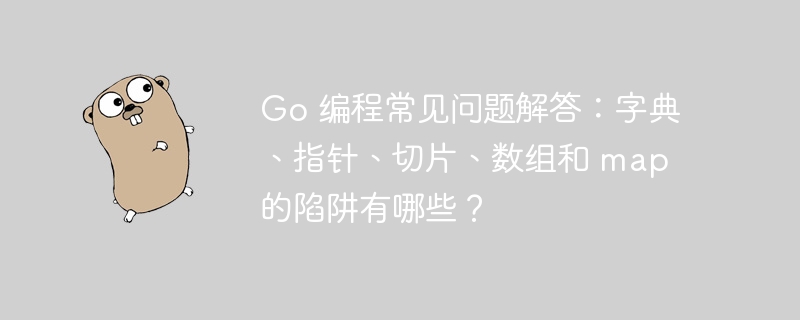 go 编程常见问题解答:字典、指针、切片、数组和 map 的陷阱有哪些?