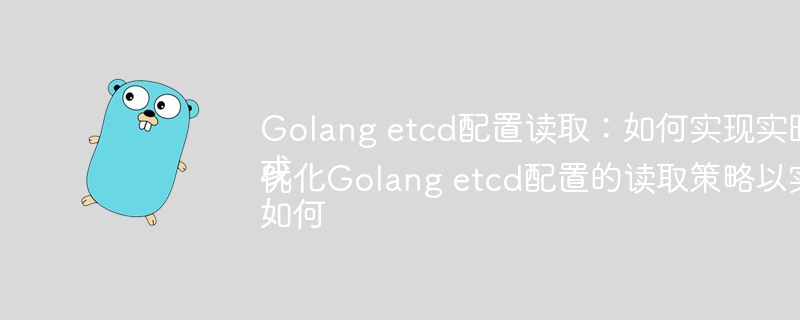 Golang etcd配置读取:如何实现实时更新?或如何优化Golang etcd配置的读取策略以实现实时更新?