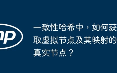 一致性哈希中，如何获取虚拟节点及其映射的真实节点？