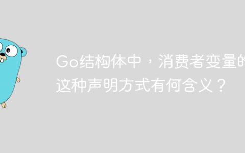 Go结构体中，消费者变量的这种声明方式有何含义？