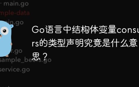 Go语言中结构体变量consumers的类型声明究竟是什么意思？