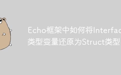 Echo框架中如何将Interface类型变量还原为Struct类型？