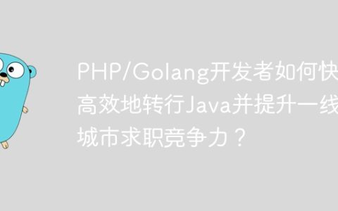 PHP/Golang开发者如何快速高效地转行Java并提升一线城市求职竞争力？