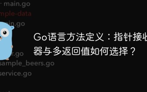 Go语言方法定义：指针接收器与多返回值如何选择？