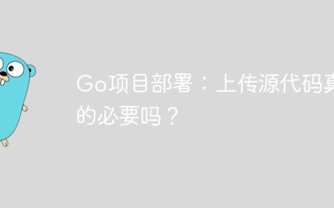 Go项目部署：上传源代码真的必要吗？