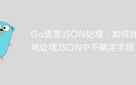 Go语言JSON处理：如何优雅地处理JSON中不确定字段？