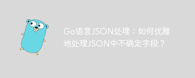go语言json处理:如何优雅地处理json中不确定字段?