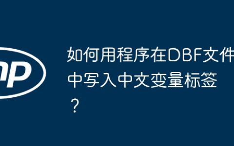 如何用程序在DBF文件中写入中文变量标签？