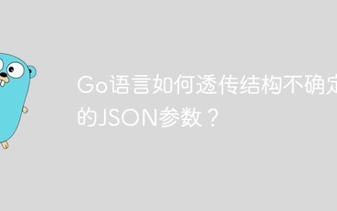 Go语言如何透传结构不确定的JSON参数？
