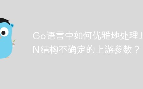 Go语言中如何优雅地处理JSON结构不确定的上游参数？