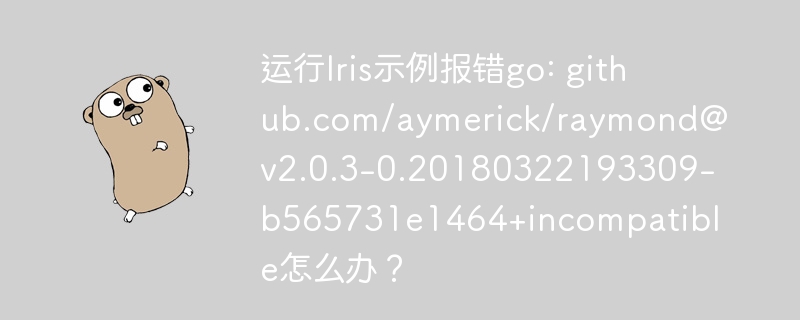 运行iris示例报错go: github.com/aymerick/raymond@v2.0.3-0.20180322193309-b565731e1464+incompatible怎么办?