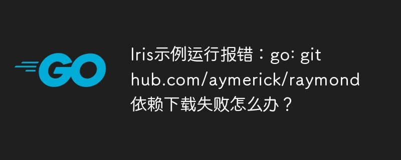 iris示例运行报错:go: github.com/aymerick/raymond 依赖下载失败怎么办?
