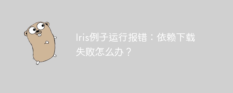 iris例子运行报错：依赖下载失败怎么办？