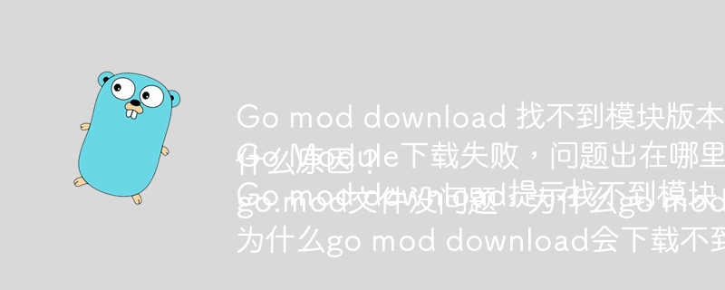 Go mod download 找不到模块版本?如何解决?Go Module下载失败,问题出在哪里?Go mod download提示找不到模块,什么原因?go.mod文件没问题,为什么go mod download仍然失败?为什么go mod download会下载不到指定的模块版本?