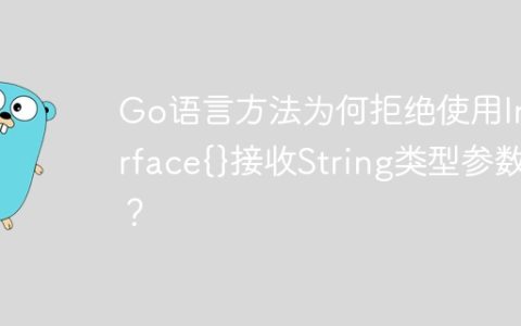 Go语言方法为何拒绝使用Interface{}接收String类型参数？