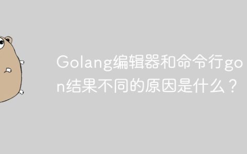 Golang编辑器和命令行go run结果不同的原因是什么？