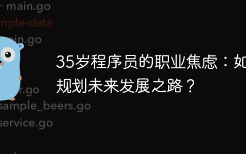 35岁程序员的职业焦虑：如何规划未来发展之路？