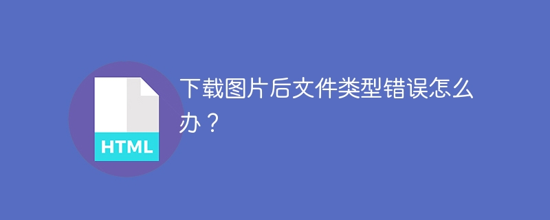下载图片后文件类型错误怎么办?