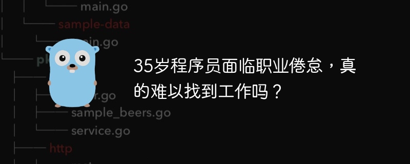35岁程序员面临职业倦怠,真的难以找到工作吗?