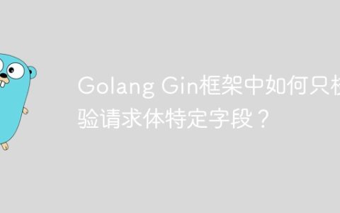 Golang Gin框架中如何只校验请求体特定字段？