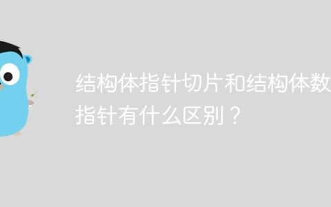 结构体指针切片和结构体数组指针有什么区别？