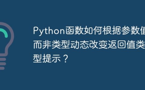 Python函数如何根据参数值而非类型动态改变返回值类型提示？