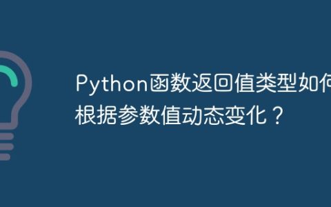 Python函数返回值类型如何根据参数值动态变化？